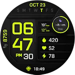 PIXEL INSTINCT 3 Watch Face