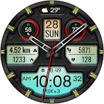 Hybrid TRUNAMA WS13 Watch face
