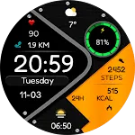 WHISPER HOLDINGS Watch Face
