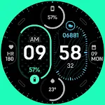 TKS 14 Gauge Watch Face