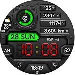 Digital DARGUN WS21 Watch face