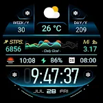 Health Tracking - Km/Mi - RE28