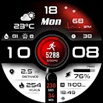 ML2U 293 Watch Face