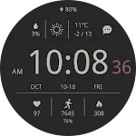 CELEST5568 Data Hub Watch