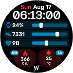 Data Stream Watch Face