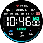 Digital Dashboard 3