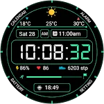 Digital 17
