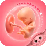 Pregnancy Tracker - Buddy App icon