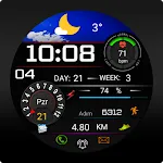 FS W254 Watch face