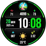 Digital PulseMotion Watch Face