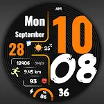 FSW314 Digital Watch Face