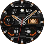 Hybrid TAKTIK WS66 Watch face