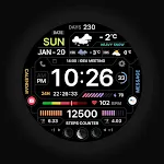 SamWatch Active 6
