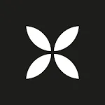 Qonto : Plus qu'un compte pro icon