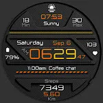 CC Digital 31 watch face