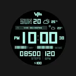 SamWatch PointColor 46