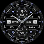 Dark Elegant Purple ZKin Watch