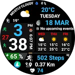 Digital Weather D Sport NTV580