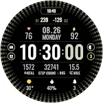 Digital Gyro109
