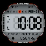 Classic Digital 027