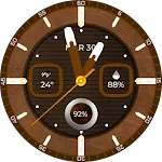 EXD154: Rugged Leather Analog