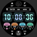 Page Flipping Data ZKin Watch