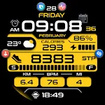 OMG 193 Digital Watch Face