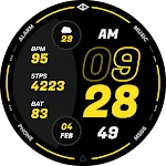 Destiny Watch Face
