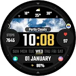 TVV Real Weather Watch Face