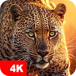 동물 배경화면 4K icon