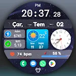FSW291 Digital Watch face