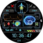 BFF40- Technology Body & Brain