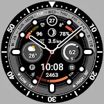 BRN205 : Watch Face
