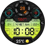 DIGI FRAMONT CTS29 Watch face