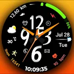 Hybrid FSW309 Watchface