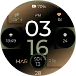 Sport Metrics Watch Face