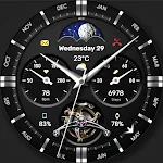 WFP 334 Business watch face