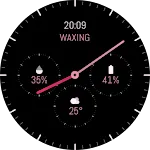 EXD137: Simple Analog Face