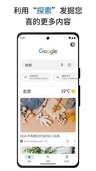 Google screenshot 1