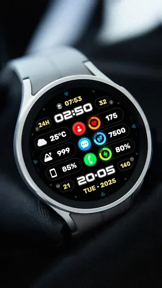 Wyvern Watch Face screenshot 11
