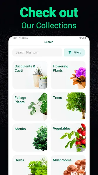 Plantum - Plant Identifier screenshot 30