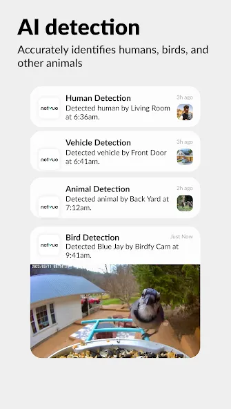 Netvue Next - In Sight In Mind screenshot 5