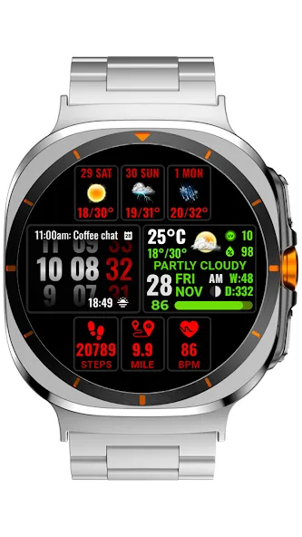 Weather hours and days NTV600 screenshot 22