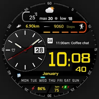 FSW307 Hybrid Watch face screenshot 19