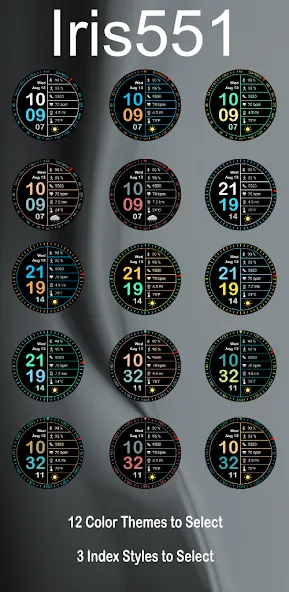 Iris551 Multi-Function Digital screenshot 6