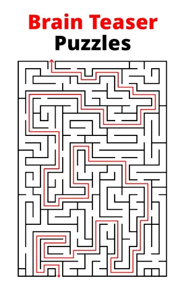 Labyrinthe : Jeu de Labyrinthe screenshot 30