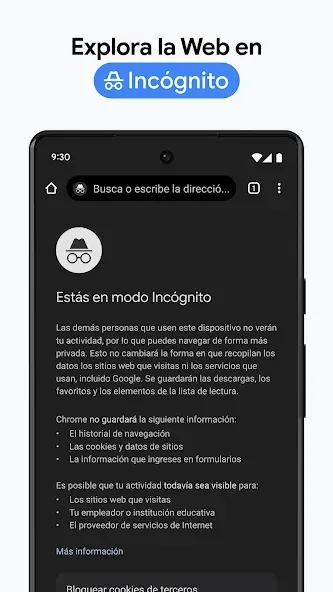 Chrome Canary (inestable) screenshot 6