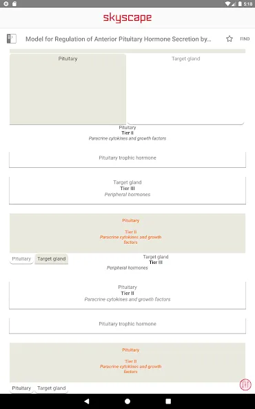 William Endocrinology Textbook screenshot 23