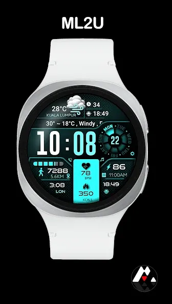 ML2U 134b Digital Hybrid screenshot 3