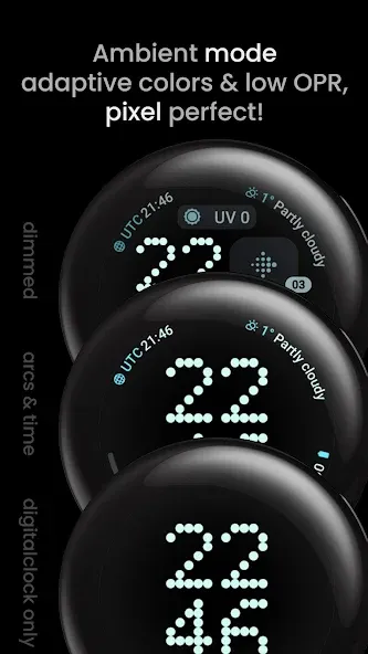 Pioneer Watch Face screenshot 4